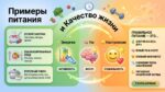 Примеры питания и качество жизни